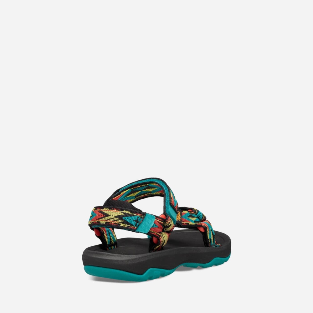 Multicolor Kids' Teva Hurricane XLT2 Hiking Sandals | 456-LANFJR