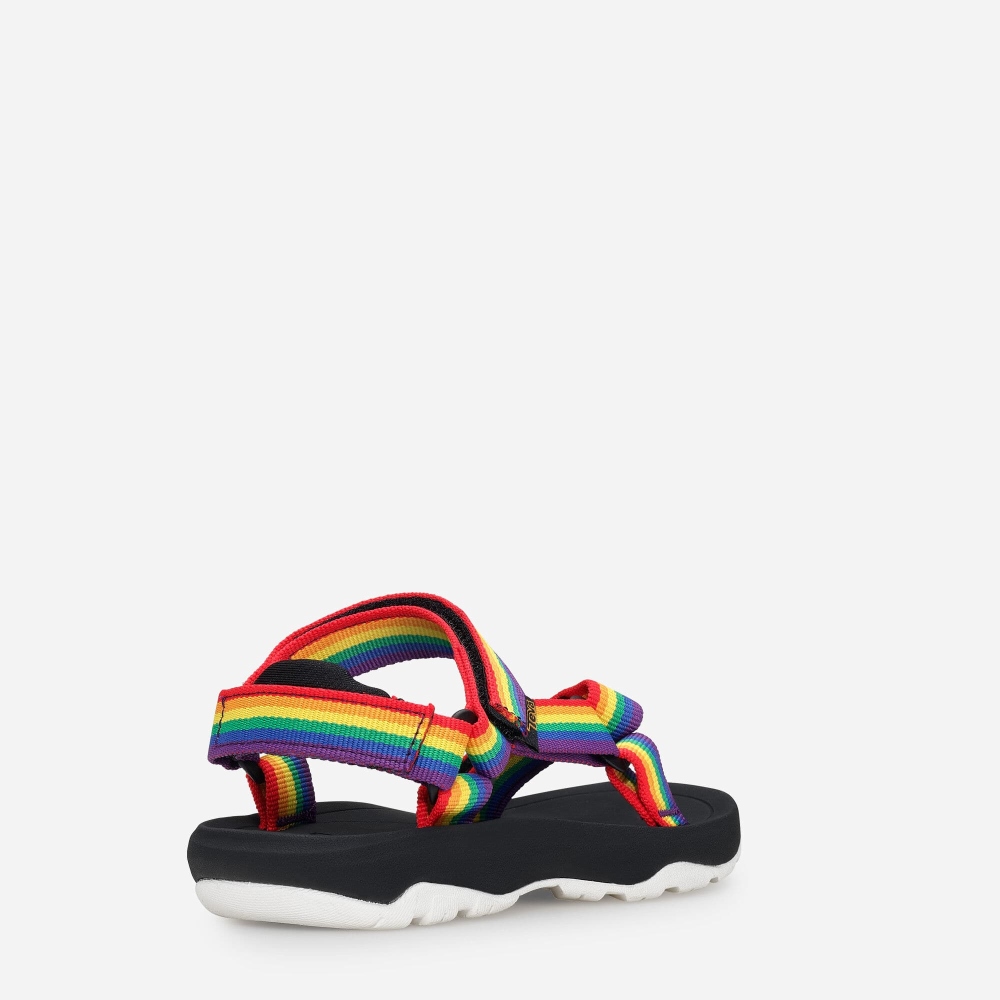 Multicolor Kids' Teva Hurricane XLT2 Rainbow Pride Hiking Sandals | 739-VFRDPQ