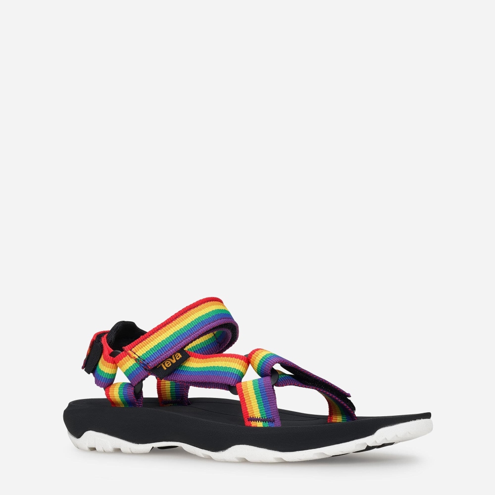 Multicolor Kids' Teva Hurricane XLT2 Rainbow Pride Hiking Sandals | 953-TWQDMH