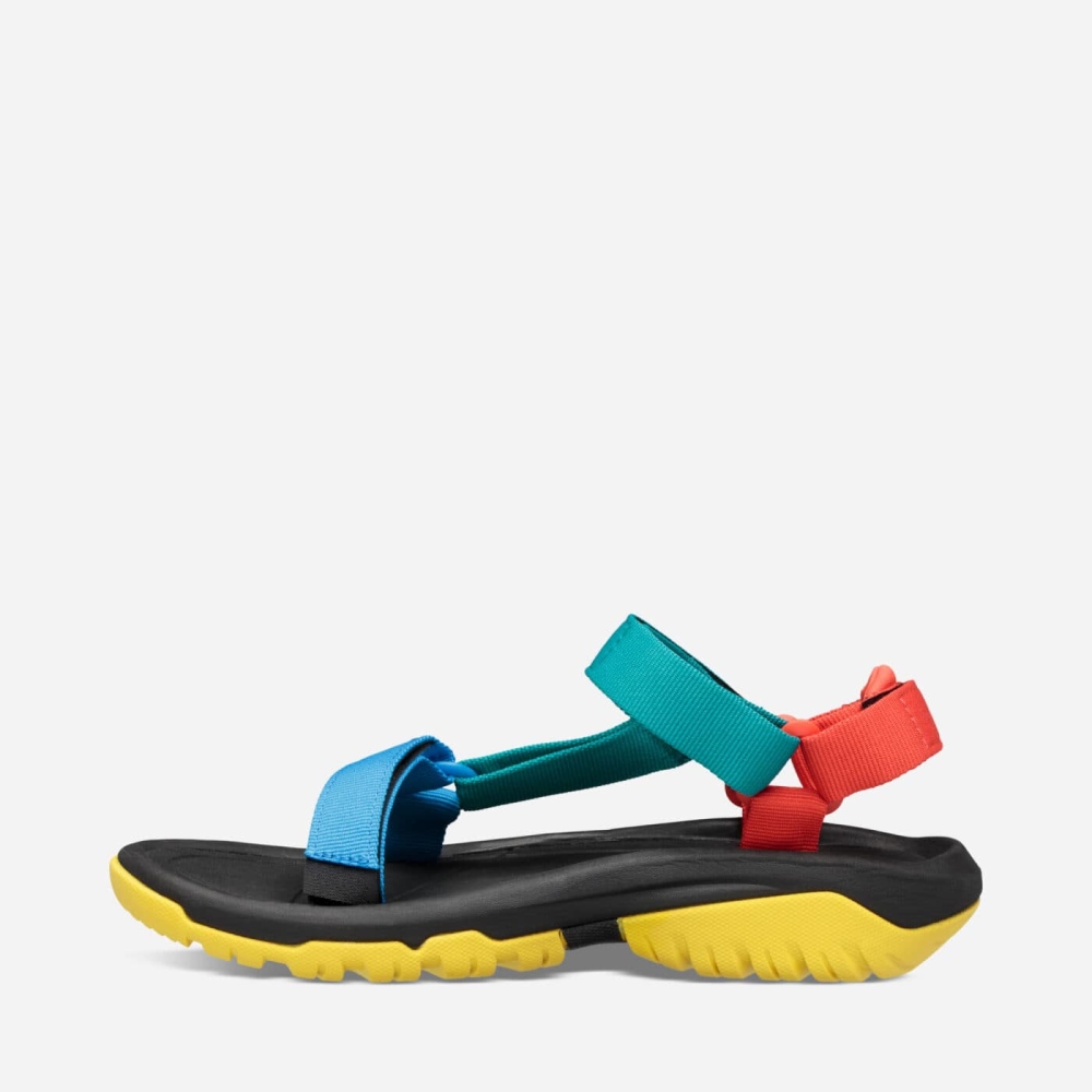 Multicolor Women's Teva Hurricane XLT2 Hiking Sandals | 201-PCSEVD