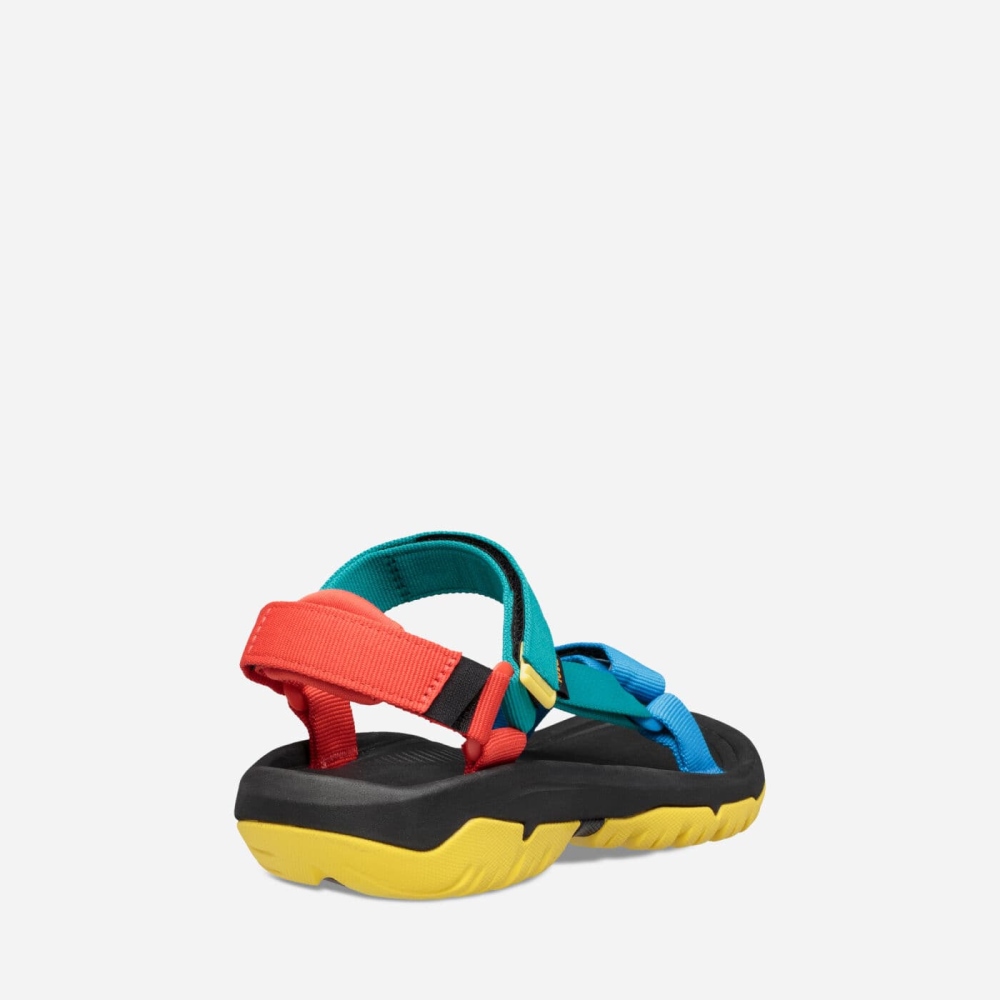 Multicolor Women's Teva Hurricane XLT2 Hiking Sandals | 201-PCSEVD