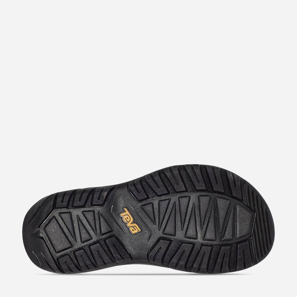 Multicolor Women's Teva Hurricane XLT2 Hiking Sandals | 548-XFLTDJ