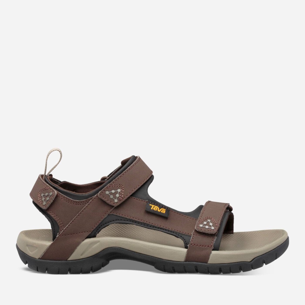 Chocolate Men's Teva Meacham Hiking Sandals | 631-DLIQYG